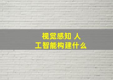 视觉感知 人工智能构建什么